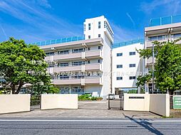 市川市東菅野5丁目　新築戸建　角地×全室二面採光
