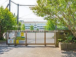 市川市曽谷1丁目　売地　更地渡し