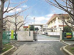 市川市菅野5丁目　売地　1区画 1号地