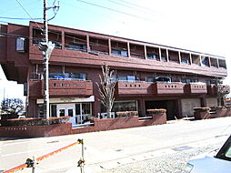 アプリコット多賀 203