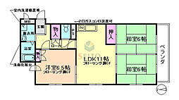曽根ファイブ