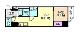 EIJU　Tsukamoto 501