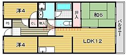 緑の家