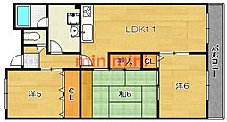 第二ドゥエルなかせい