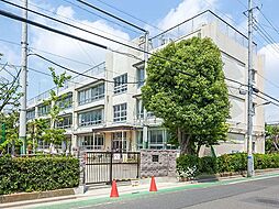 葛飾区南水元1丁目 売地／建築条件なし／全2区画