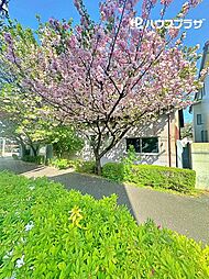 葛飾区お花茶屋2丁目 売地／建築条件なし／全2区画