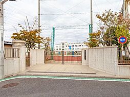 足立区花畑2丁目 売地／建築条件なし