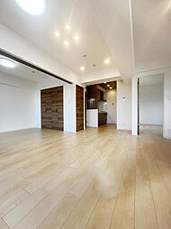 コートプラザ八王子 307