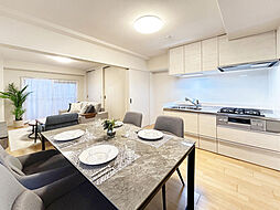 ライオンズマンション一橋学園 301