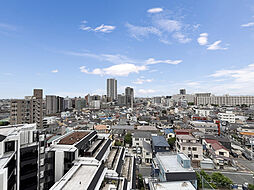 プレミスト金町 1101