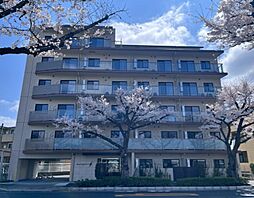 エストゥルース府中 503号室