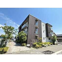 アンビエラ杉木 105