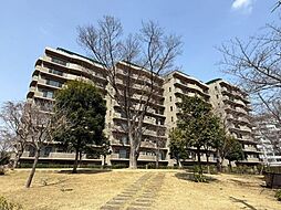 千葉ニュータウン トリアス・パークテラス