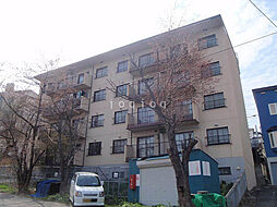 エメロード桜 404