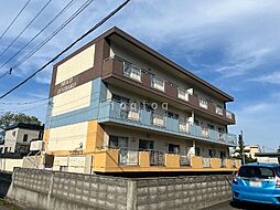 ＰＬＡＵＤ　ＺＥＮＩＢＡＫＯ 102