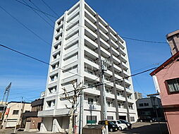 TEADA入船 807
