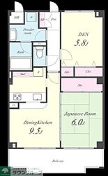 セレブリティーY 203