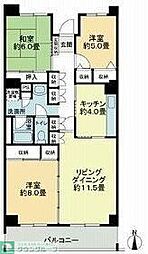 テレパレス船橋三咲Ａ棟 0203