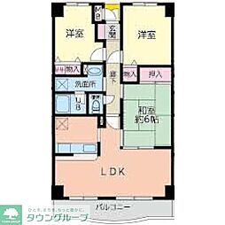 コンフォールドミール 204