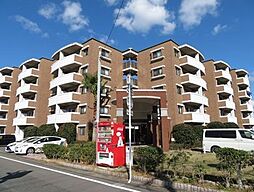 リー・ルーチェ 202