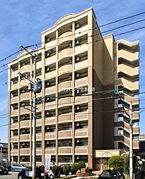 サニーサイドアップ 501