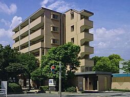 サン・トルース駅南