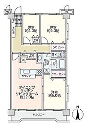 エクセルコート第二並木