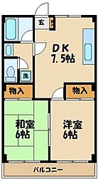 八王子市松木