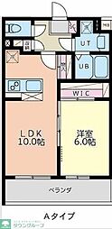 プリムラ 202