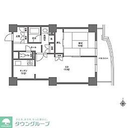 文京グリーンコートビュータワー本駒込