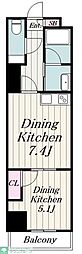 Ｅｖｅｒｇｒｅｅｎ（エヴァーグリーン） 804