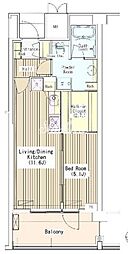 マチュリティ小石川 507