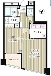 パトリス26 502