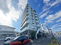 ドルチェ・オオギ 801