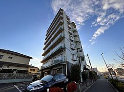 ドルチェ・オオギ 801