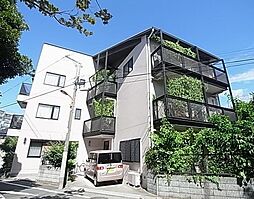 アルトポンテ 302