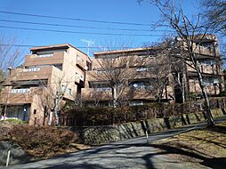 テラスハウス山中湖