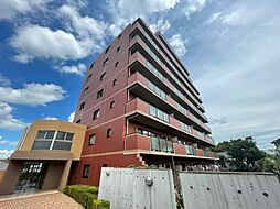 サングリーン海道割