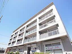 ピアンターレM 208