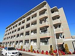 グランツ柏の葉 312