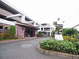 サフィールフォーレ65 313