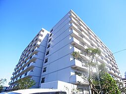 シラカワパレス 903