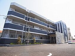 パープルコート・アゼリア 105