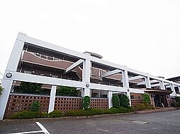 サフィールフォーレ65 308