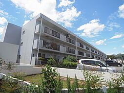 INSURANCE BLDG.XVI　〜インシュランスビルデ 103