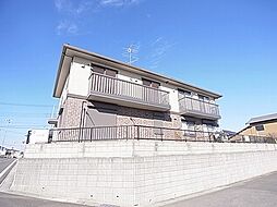 フリージア 102