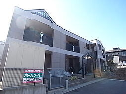 ラディッシュVI 203