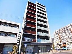 フェリジータ 1001