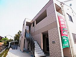 ロイヤルパピヨン 101