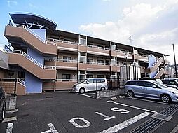 グリーン新柏